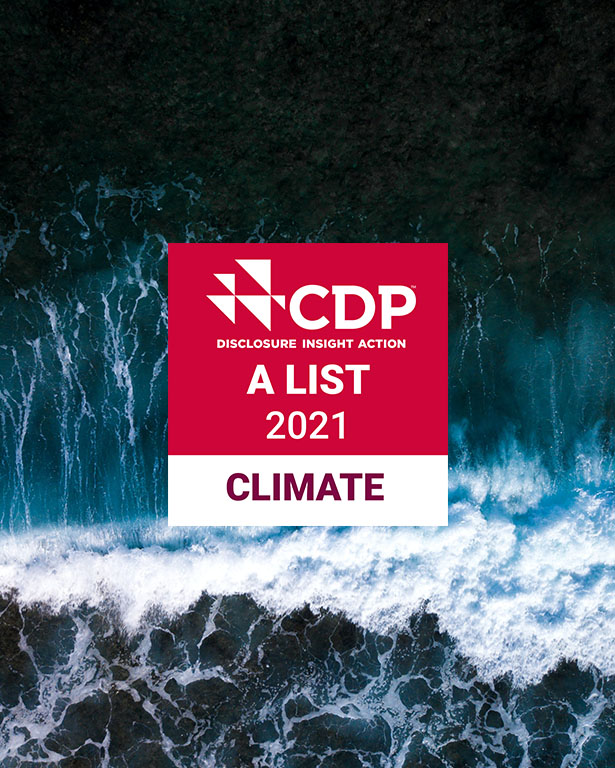 CDP logo