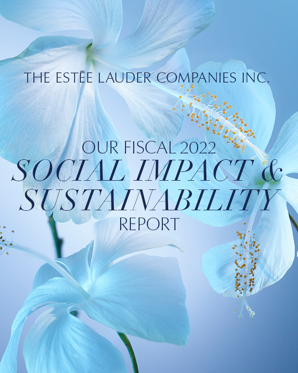 Social impact and sustainability report cover