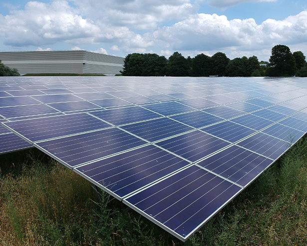 Solar panels in a field