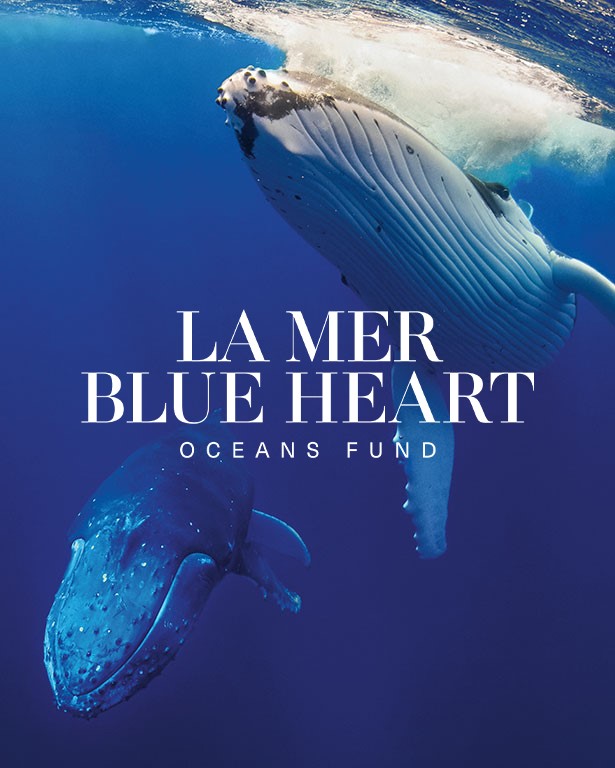 The Estée Lauder Companies Girls' Education Initiative