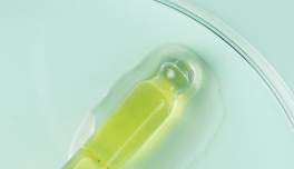 Lactobacillus Ferment