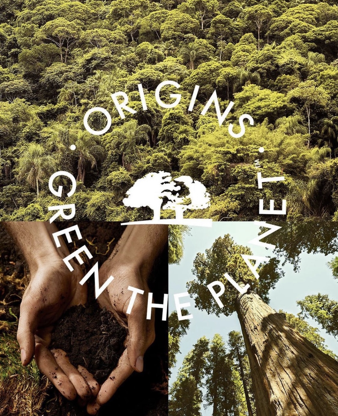 Origins Plant-A-Tree Campaign