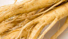 Panax Ginseng Root Extract