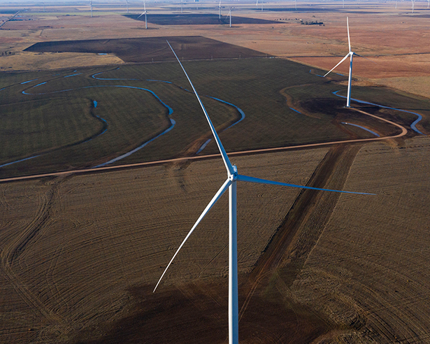 Windmills in a field