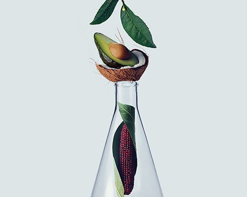 Avocado, coconut, and corn