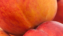 Prunus Armeniaca (Apricot) Kernel Oil