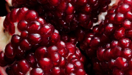 Punica Granatum (Pomegranate) Seed Oil