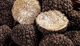 Tuber Melanosporum Extract