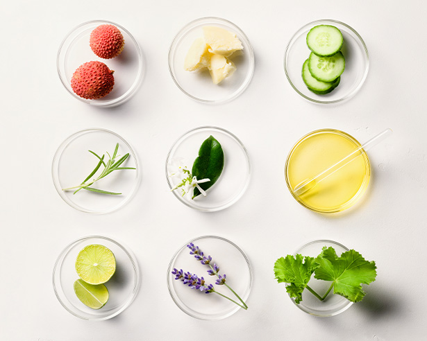 Working With Our Suppliers